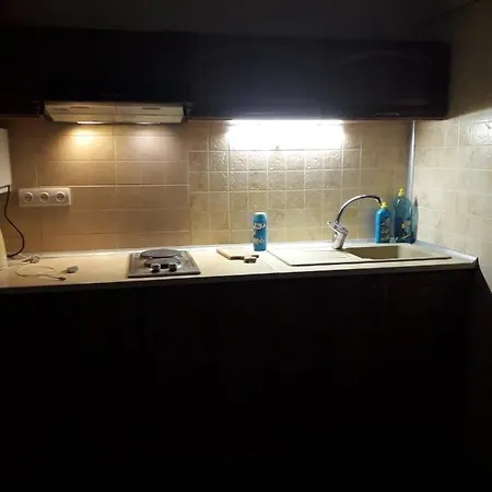 Lejlighed Panorama Karpat *
