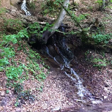 Panorama Karpat * Polyana (Transcarpathia)