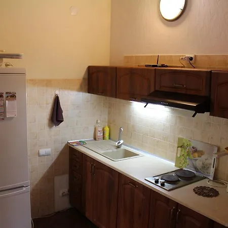 Apartment Panorama Karpat Polyana (Transcarpathia)